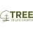 Tree of Life Church